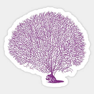 Purple Sea Fan Coral Sticker